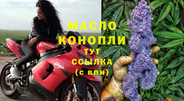 сатива Абаза