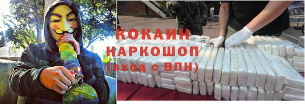 сатива Абаза