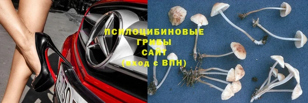 сатива Абаза