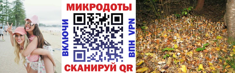 Галлюциногенные грибы ЛСД  Тихвин 