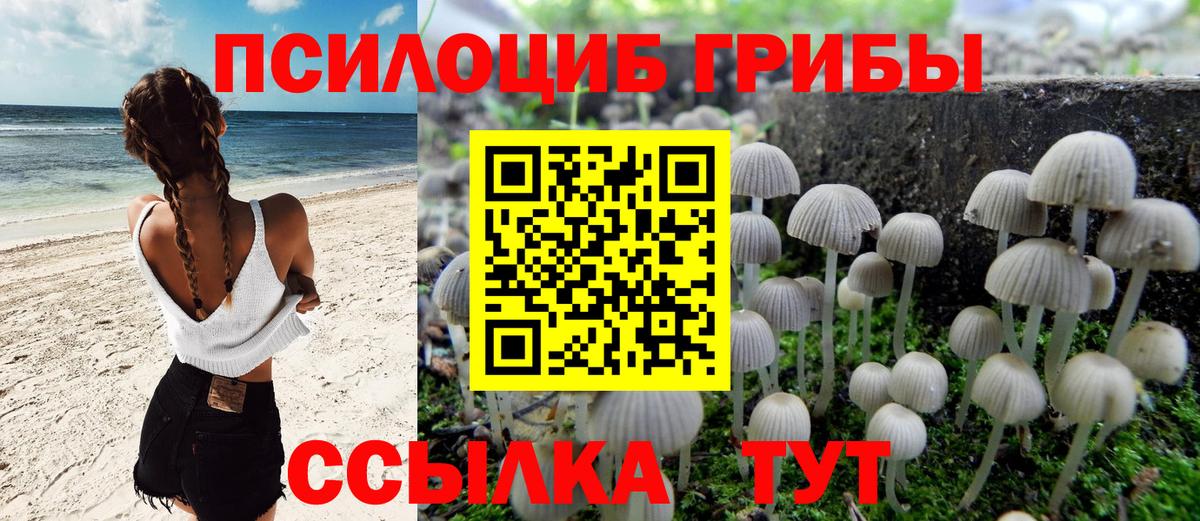 Псилоцибиновые грибы Psilocybine cubensis  Псилоцибиновые грибы Magic Shrooms  Вход с VPN  Тихвин 
