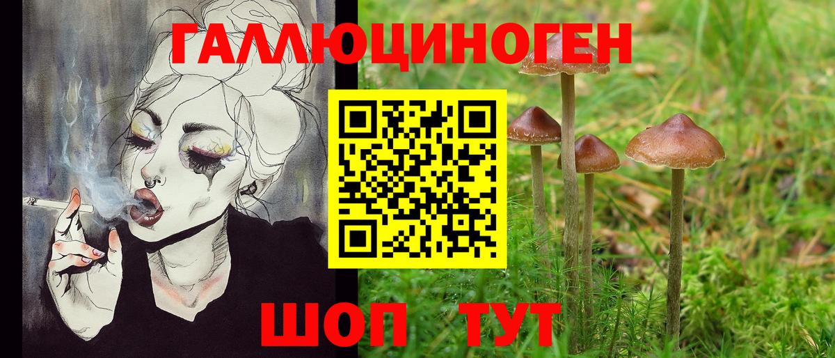 Галлюциногенные грибы MAGIC MUSHROOMS Тихвин